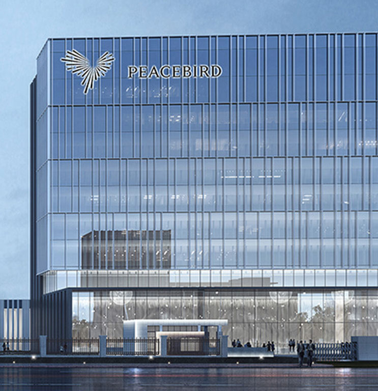 寧波太平鳥集團(tuán)項(xiàng)目