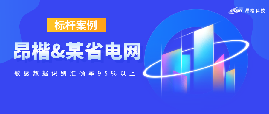 標桿案例  | 敏感數據識別準確率95%以上！昂楷攜某省電網破解電力數據開放的“既要又要”難題